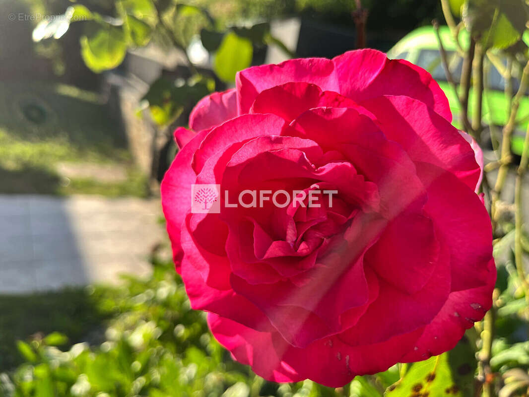 Firmi - axe rodez figeac : *maison 4 chambres* 145 m2 * 850 m2 jardin *pac neuve* - photo 19