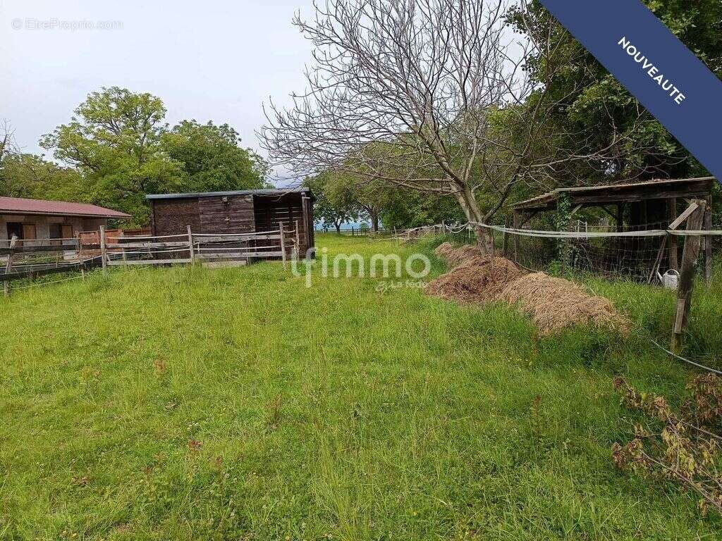 Corps de ferme entièrement rénové sur 23 ares avec paddocks - photo 7