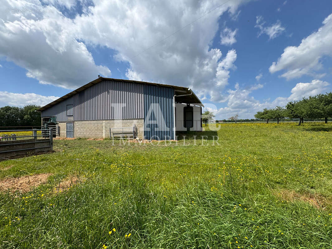 Maison à MORTAGNE-AU-PERCHE