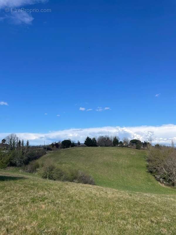 Terrain à LA SALVETAT-BELMONTET