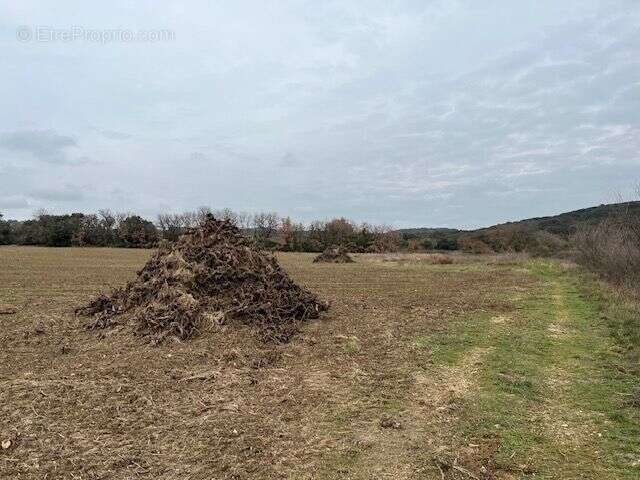 Terrain à SAINT-HILAIRE-D&#039;OZILHAN