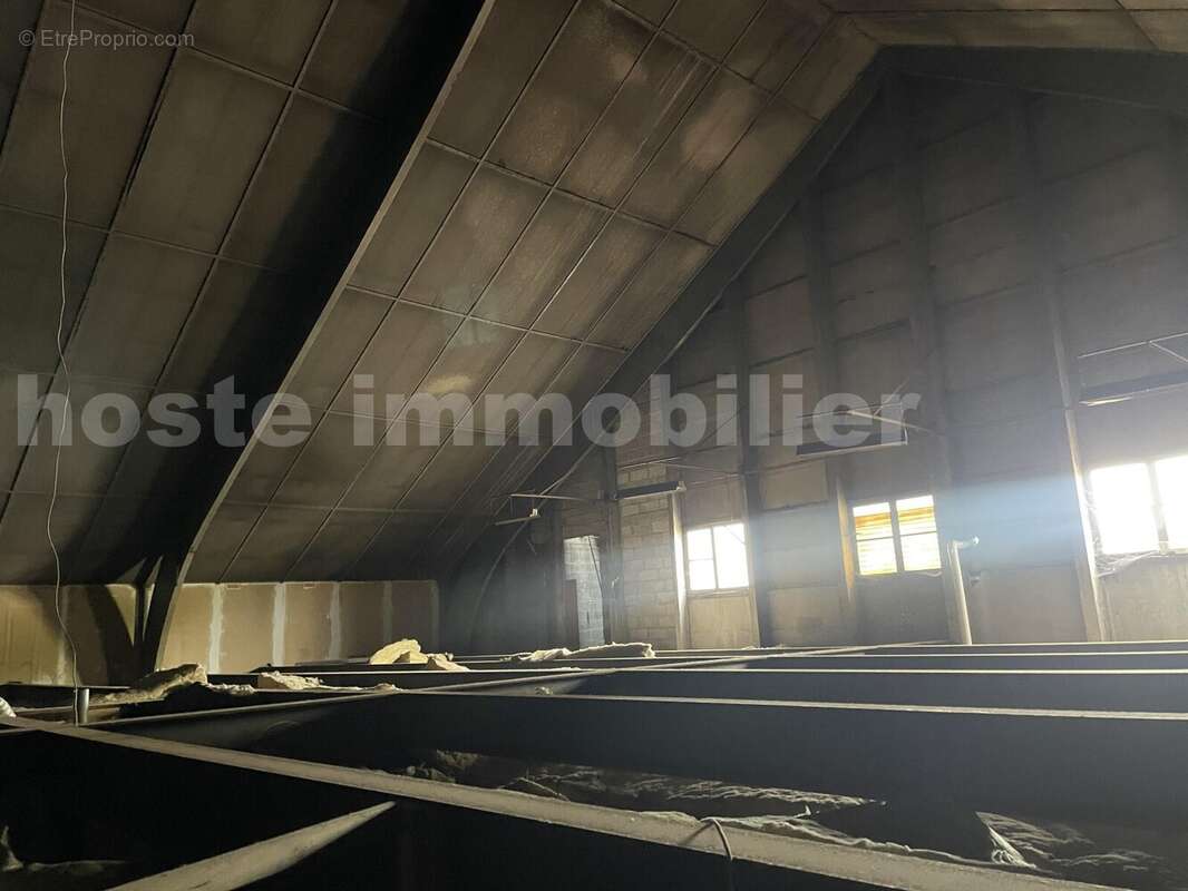 IMG_8716 - Terrain à TOURCOING