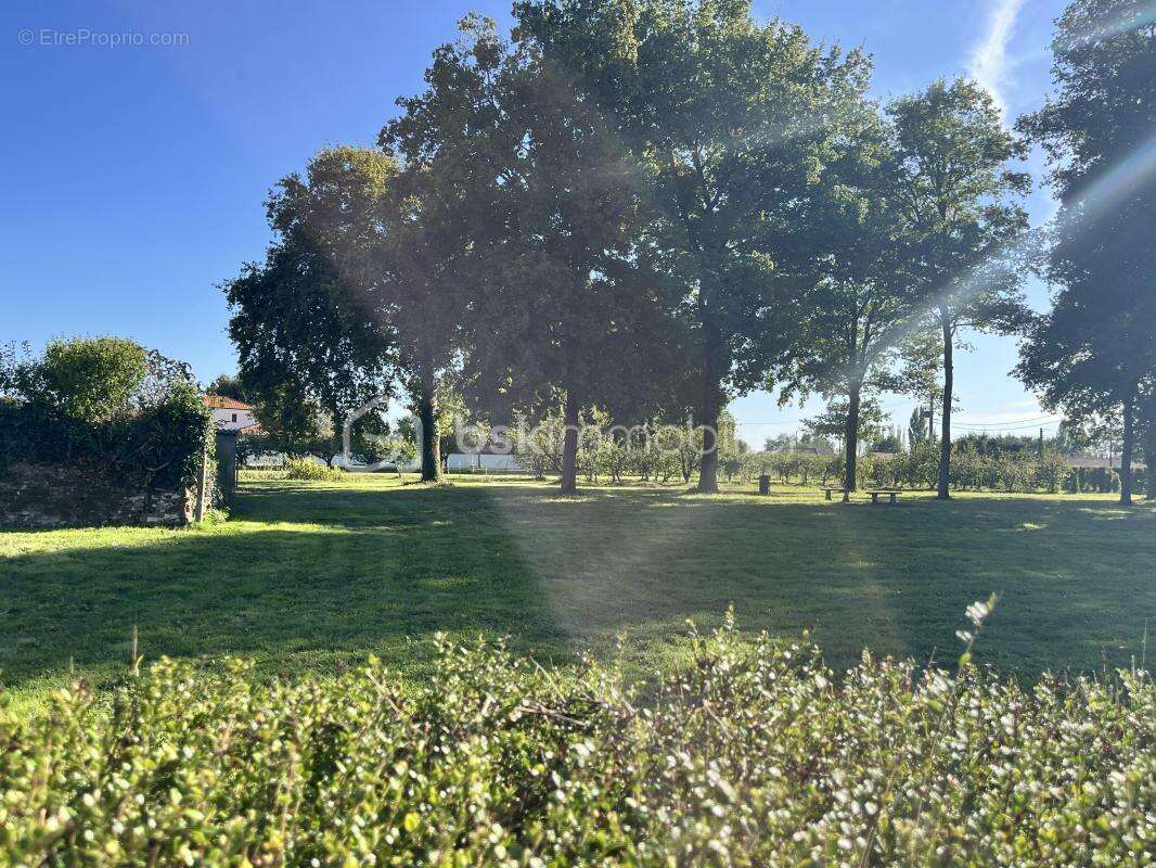 Maison à LA BOISSIERE-DU-DORE