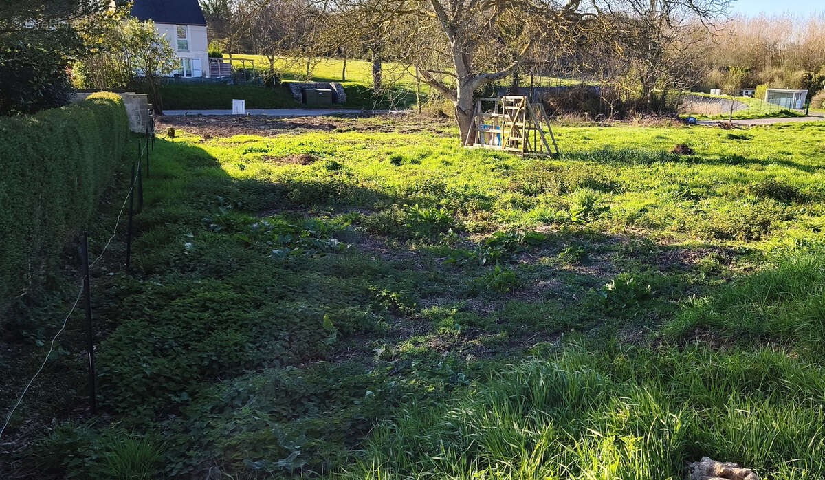 Terrain à PLESSIX-BALISSON