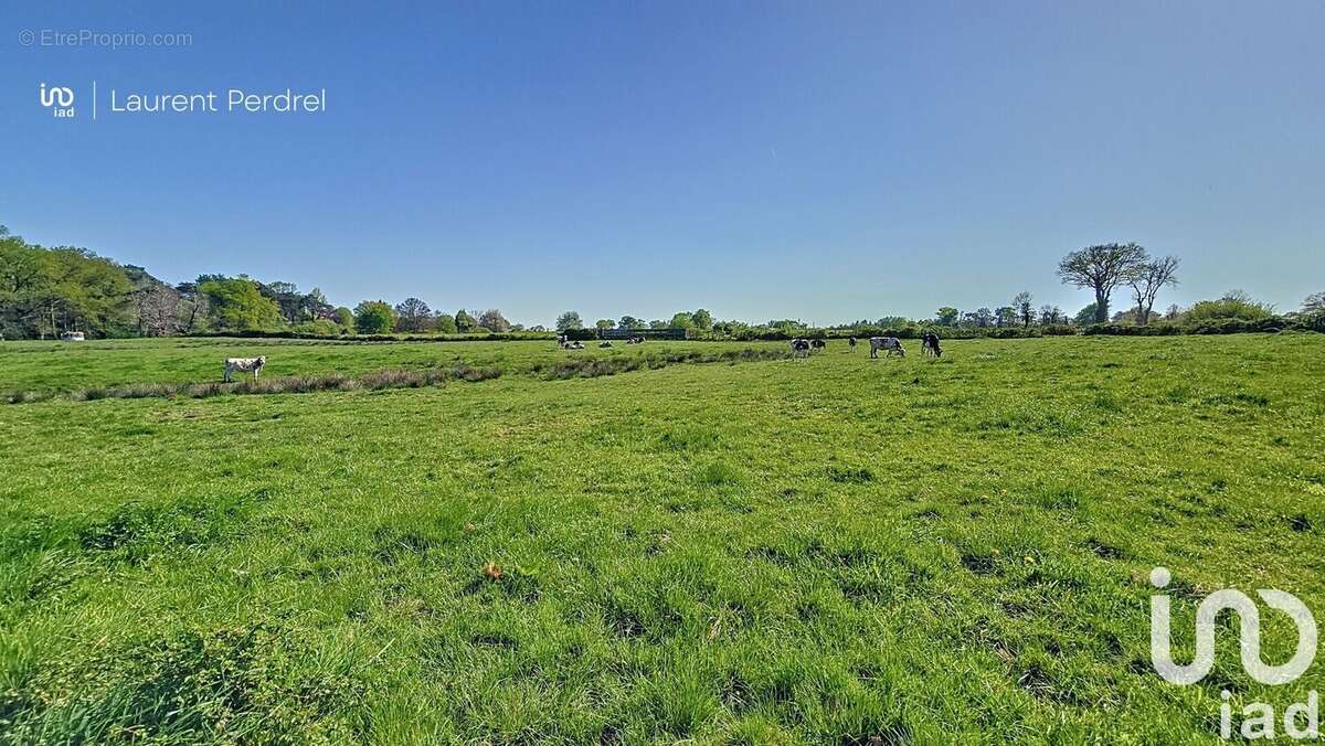 Photo 4 - Terrain à ALLAIRE