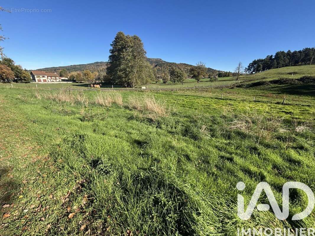 Photo 2 - Terrain à RETOURNAC