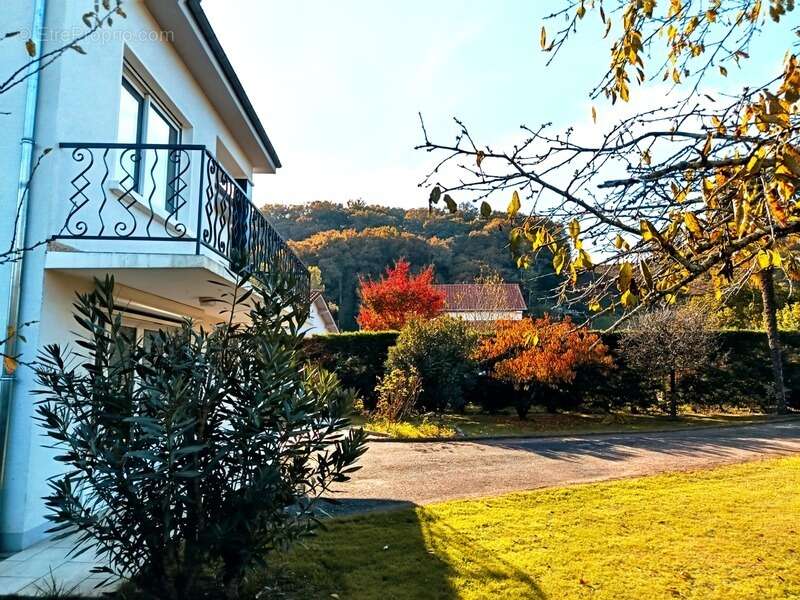 Maison à AIRE-SUR-L&#039;ADOUR