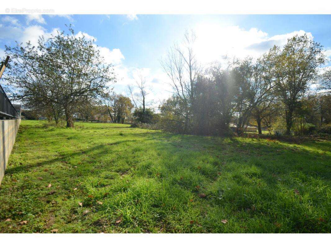 Terrain à PORCHERES