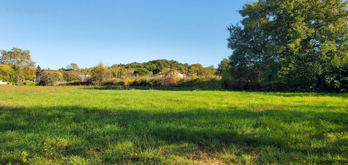 Terrain à LE SEQUESTRE