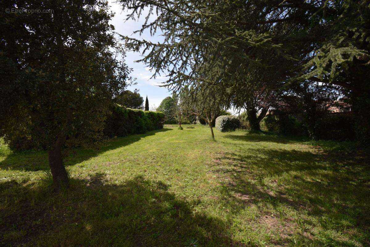 Terrain à SAINT-QUENTIN-LA-POTERIE