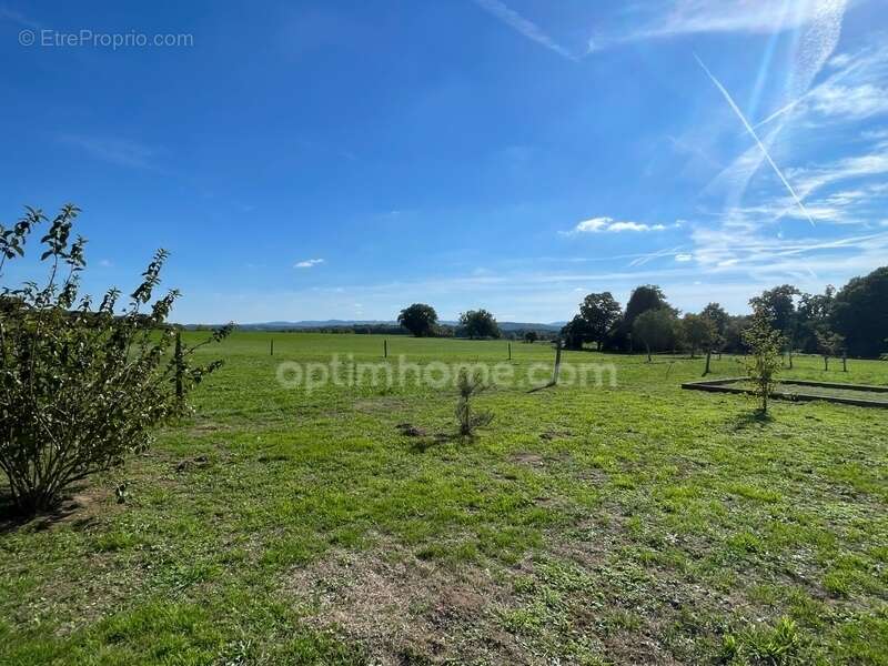 Maison à SAINT-ETIENNE-DE-FURSAC
