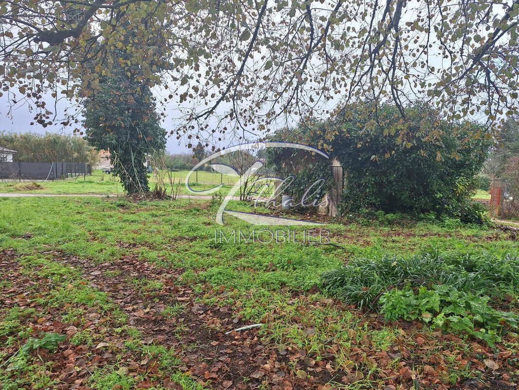 Maison à PRIGNAC-ET-MARCAMPS