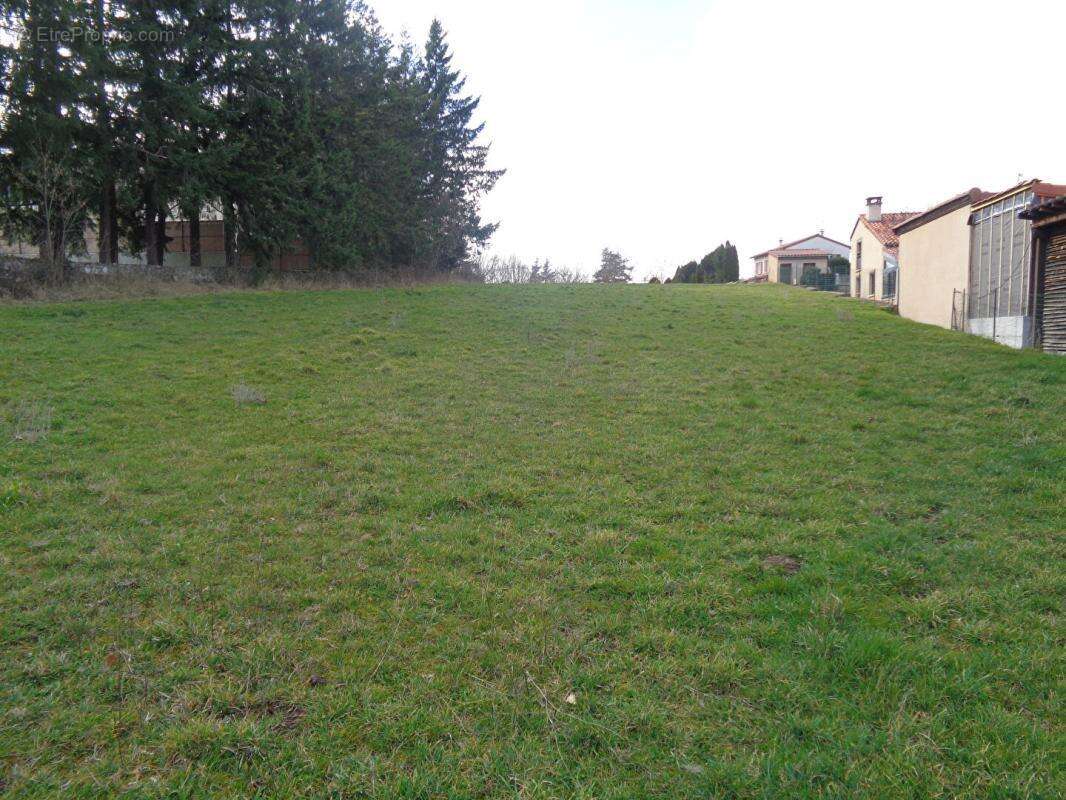 Terrain à SANSSAC-L'EGLISE