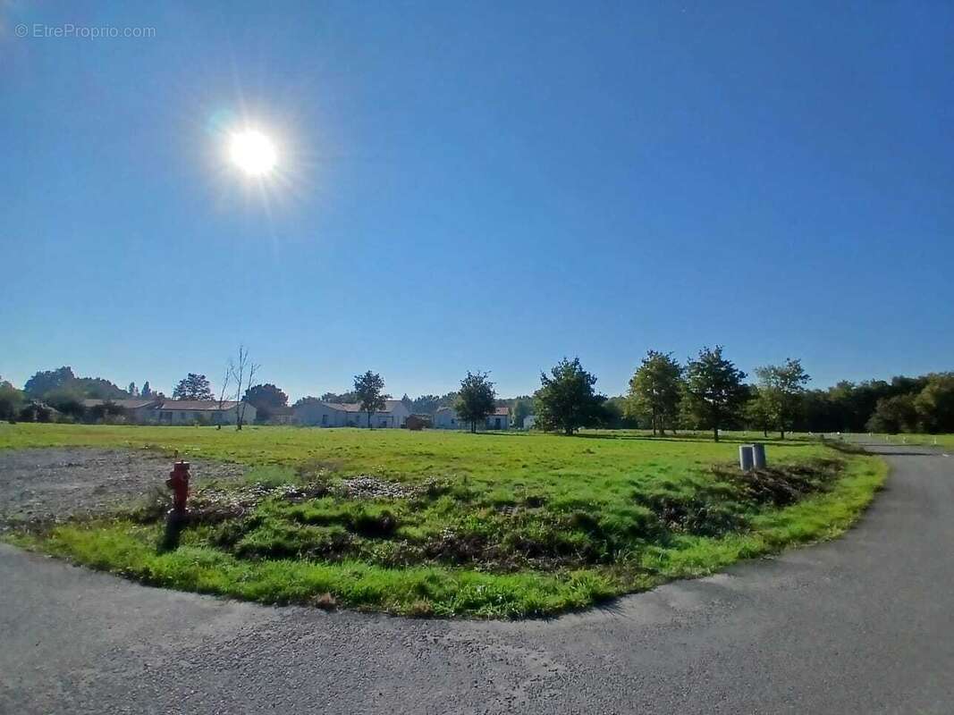 Terrain à SAINT-AIGNAN-GRANDLIEU