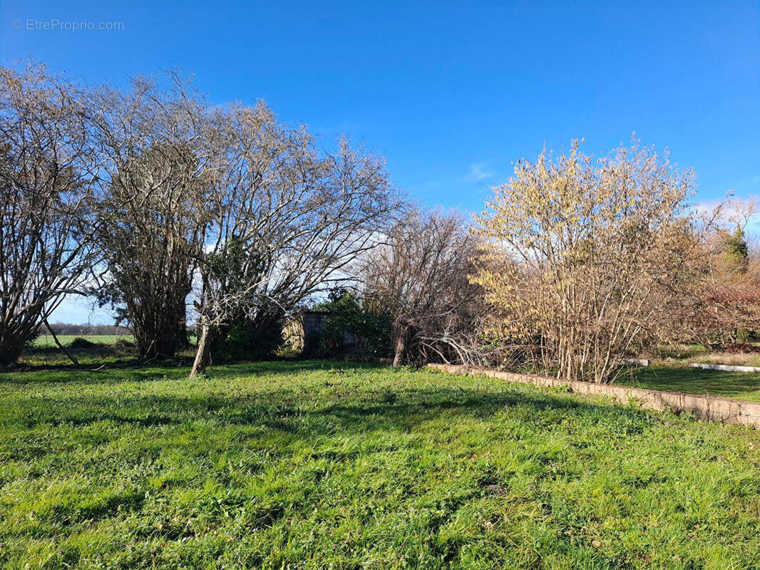 Terrain à SAINT-JEAN-DE-MARSACQ