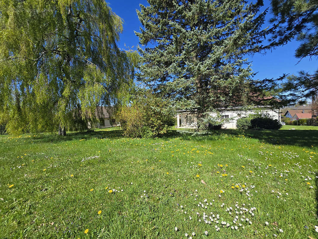 Maison Pontarlier 9 pièce(s) 257 m2 - photo 17