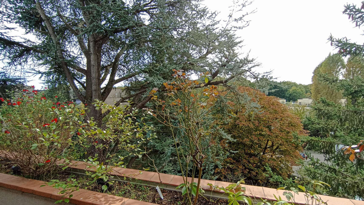 Appartement à VILLE-D&#039;AVRAY