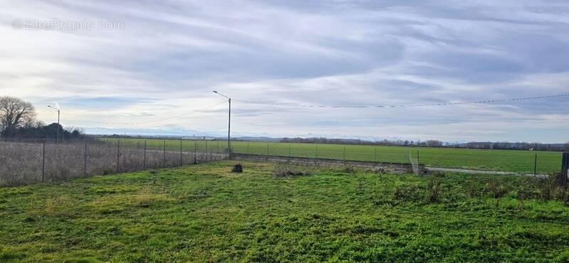 Terrain à LABARTHE-SUR-LEZE