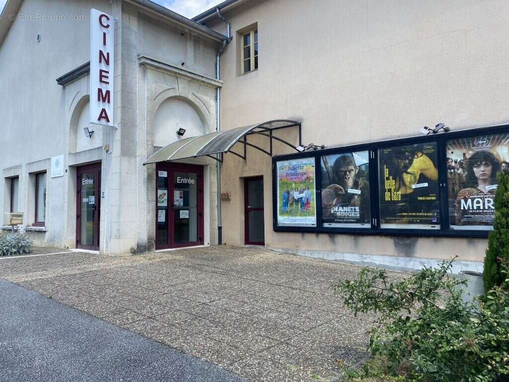 CINEMA - Terrain à CHATEAUNEUF-LA-FORET