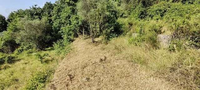 Terrain à GRASSE
