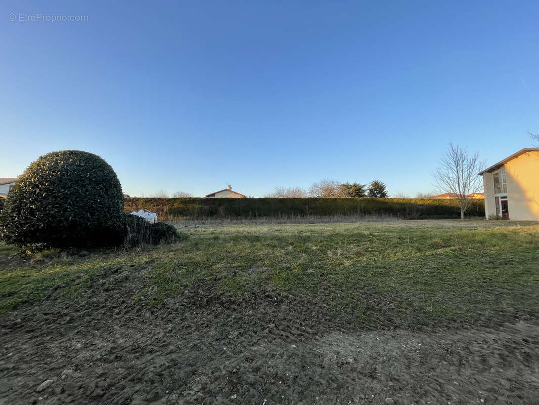Terrain à NEYRON