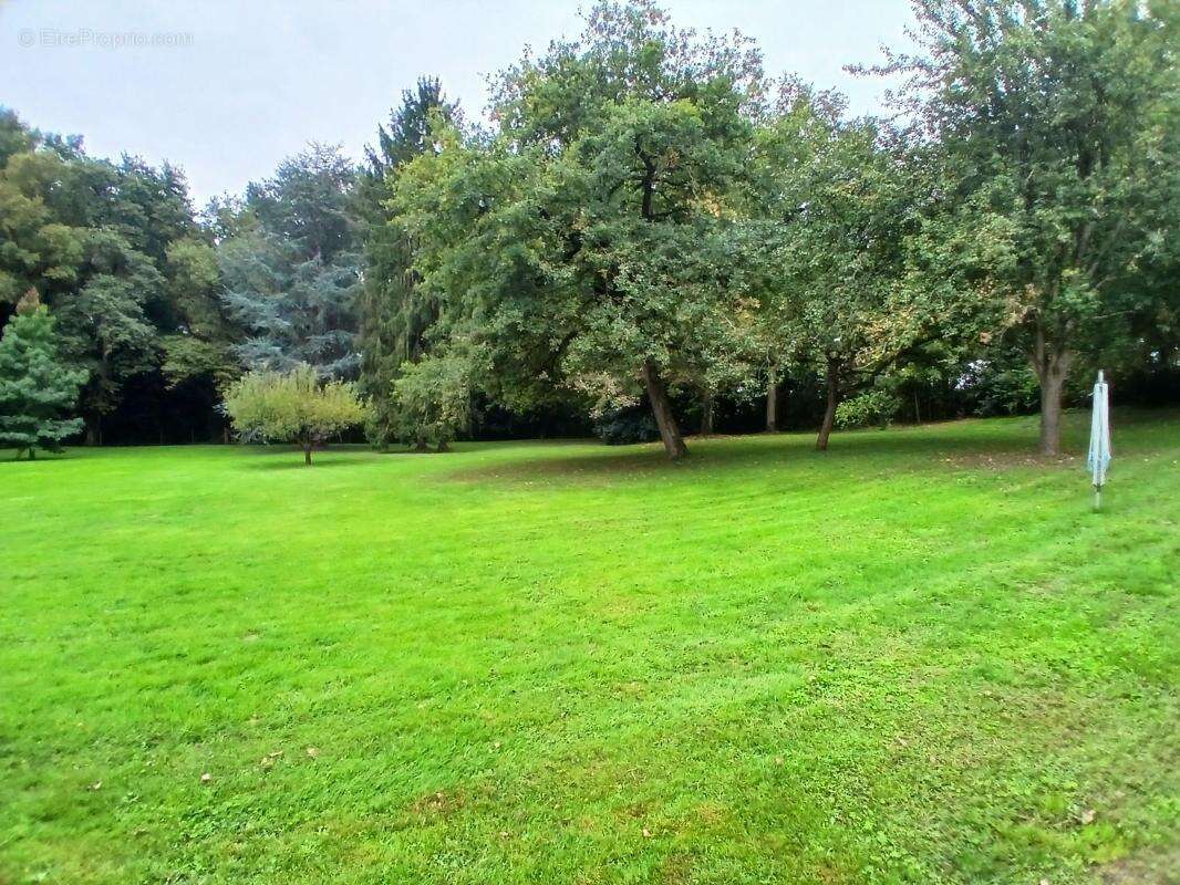 Maison à BLAISON-GOHIER