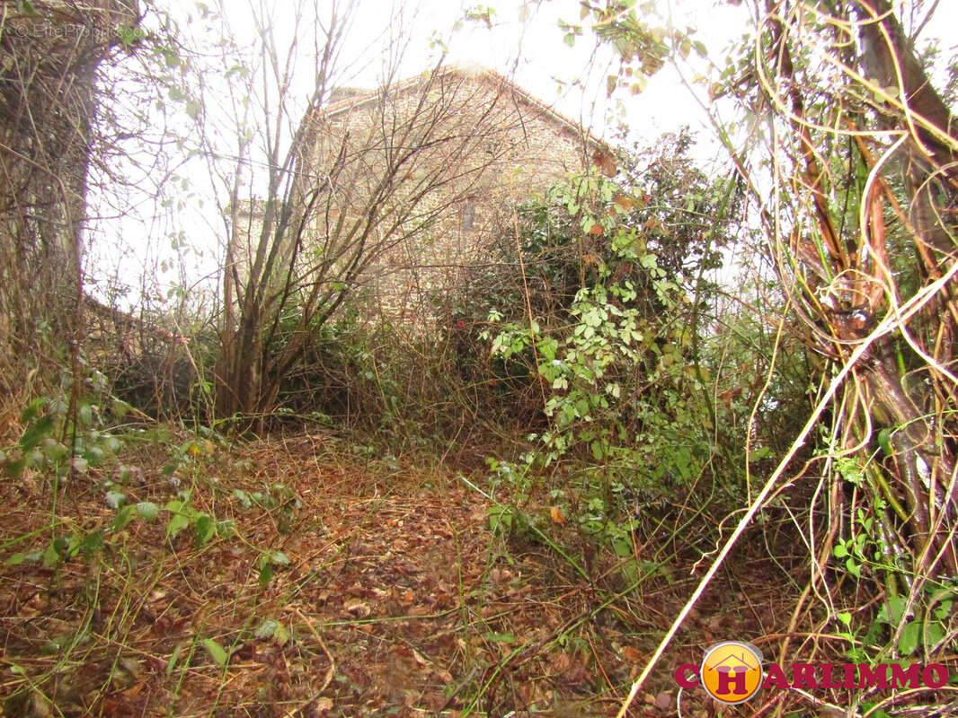 Maison à CHASSENON