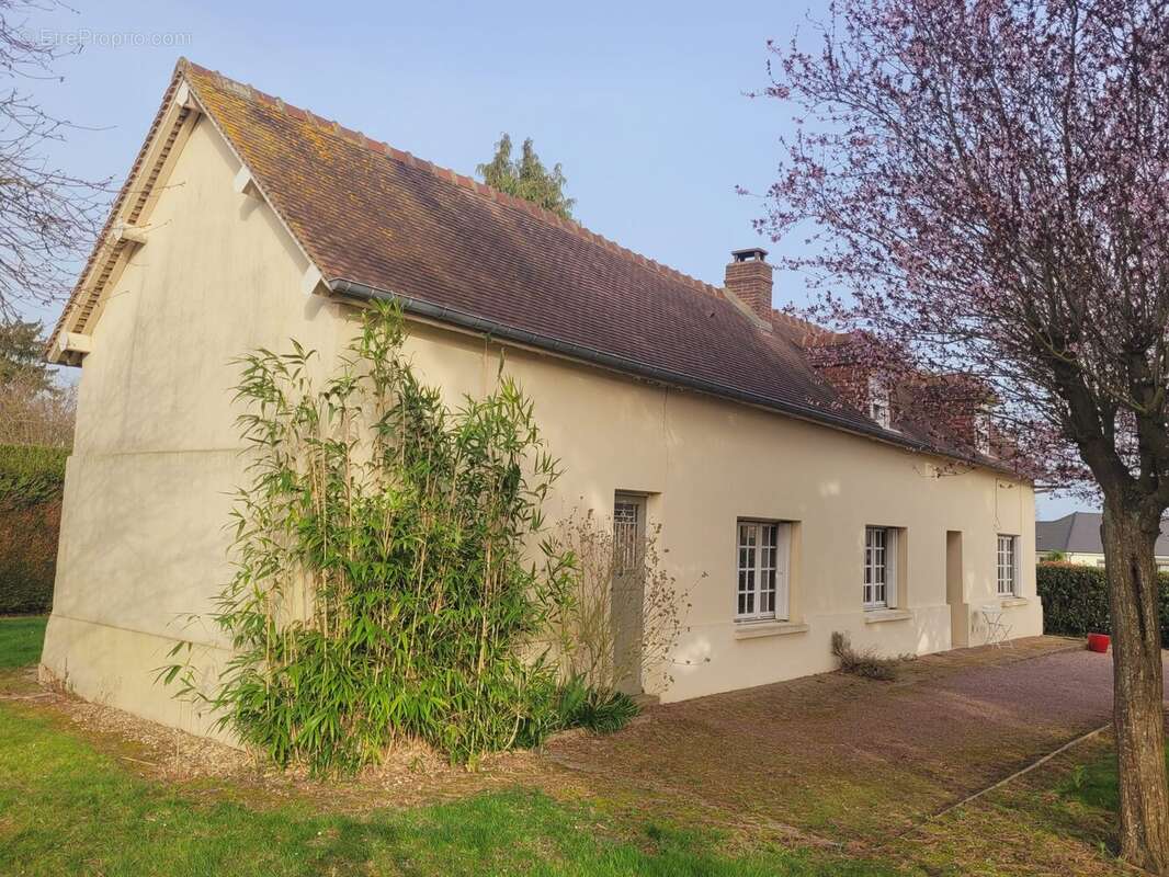 Vends maison ancienne F5 à Terres de Bord - Maison à CRASVILLE