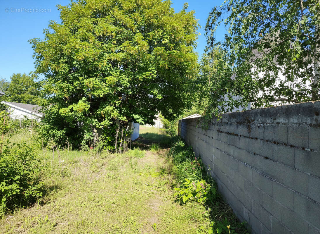 Terrain à JOUE-LES-TOURS