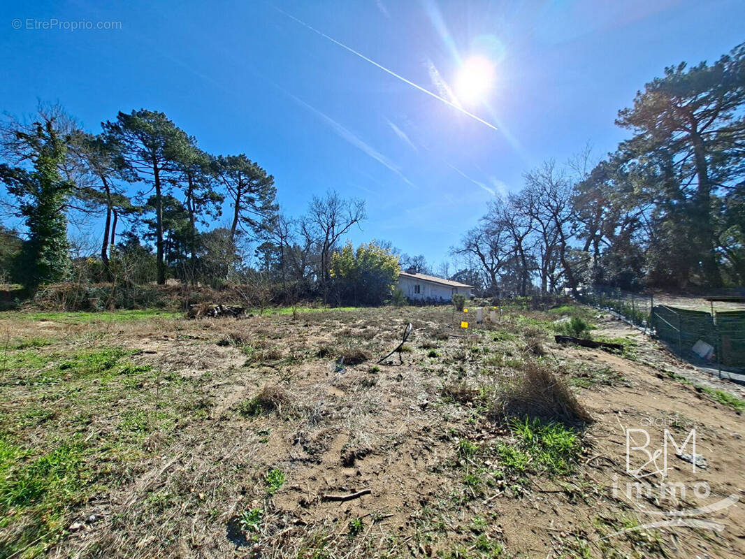 Terrain à MESSANGES