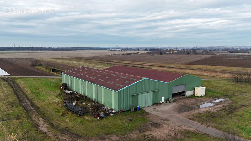 Maison à STRASBOURG