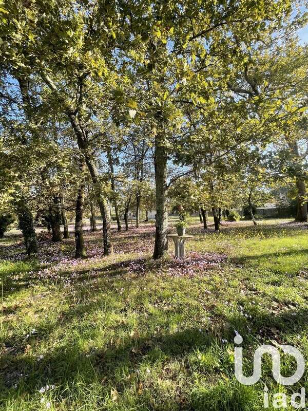 Photo 9 - Maison à SAINT-SAUVEUR