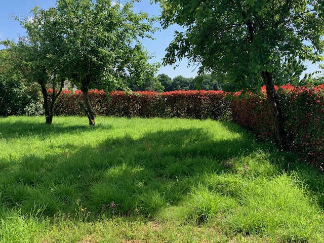 Maison à NOYAL-PONTIVY