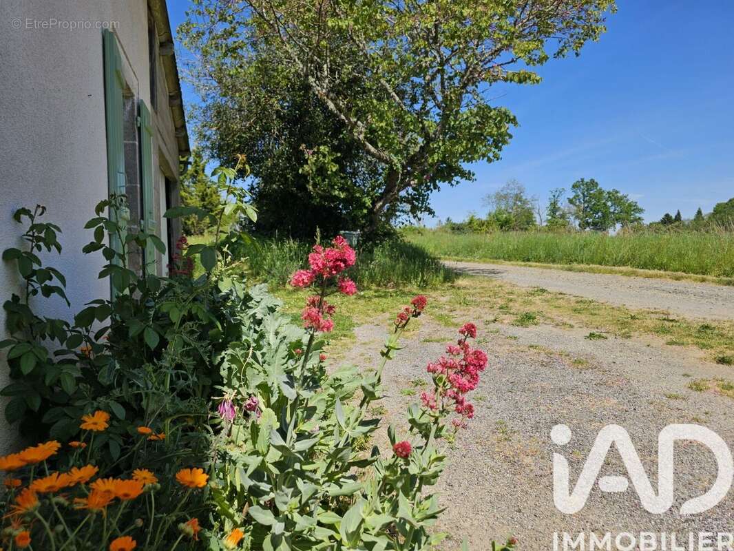 Photo 3 - Maison à CUSSAC