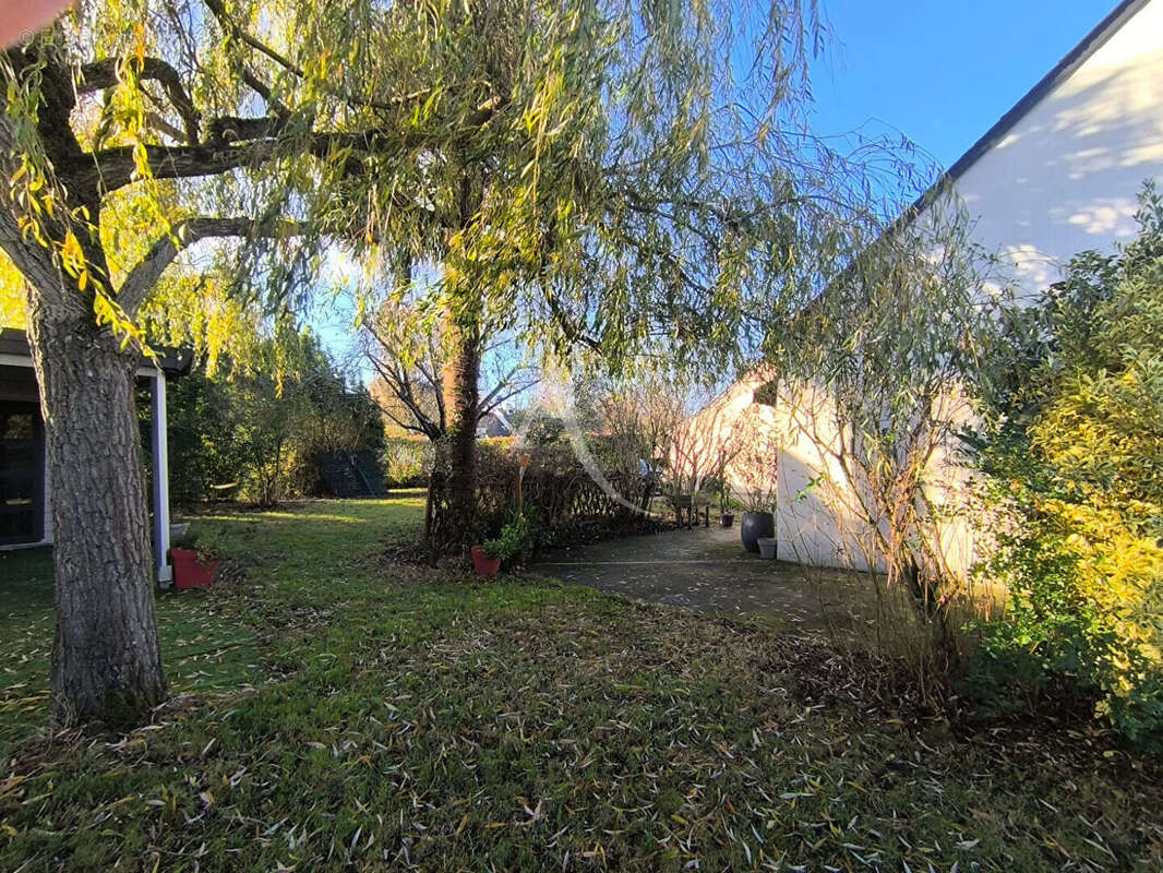 Maison à LE LION-D&#039;ANGERS