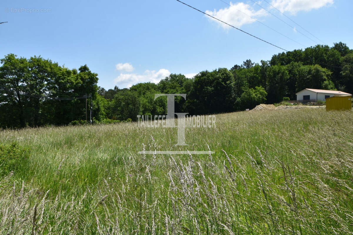 Terrain à SAINT-ASTIER