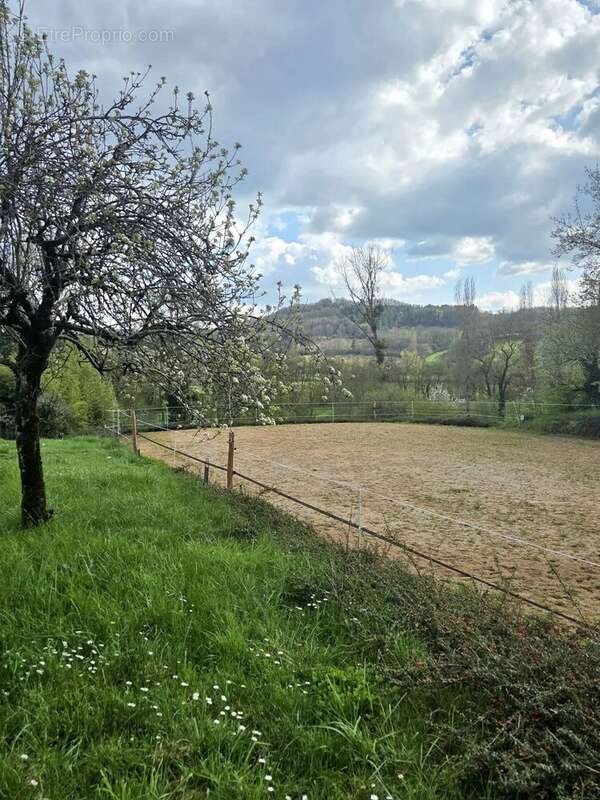 Maison à CASTELNAU-DE-MONTMIRAL