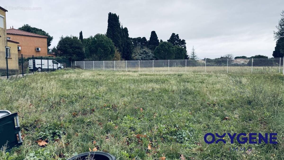 Terrain à SAINT-LAURENT-DE-LA-SALANQUE