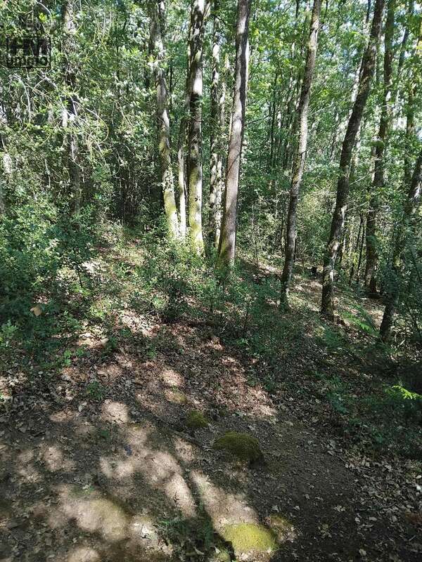 Terrain 2562 m² à Saint-Leonard-De-Noblat  - photo 5