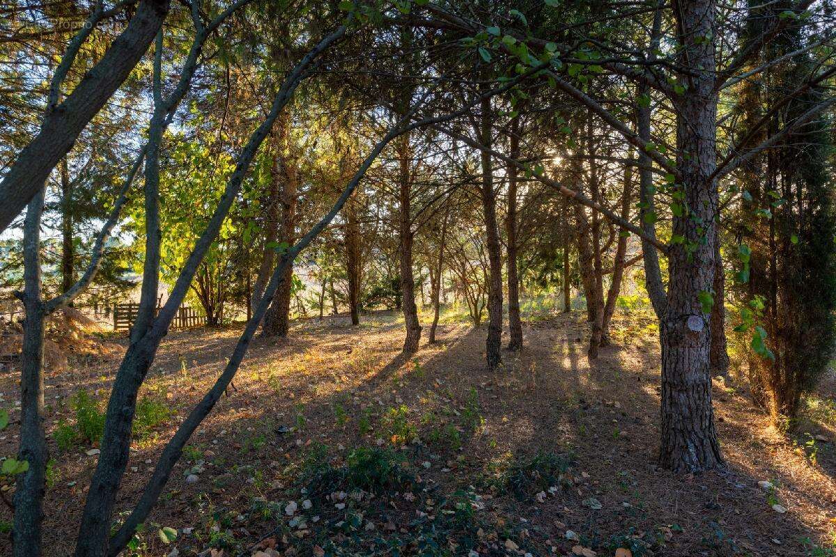 Maison à AIGUES-VIVES