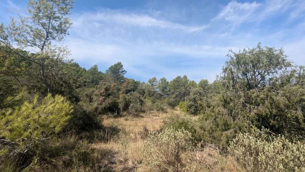 CARCES - Terrain 22.234m² en zone Naturelle - photo 4