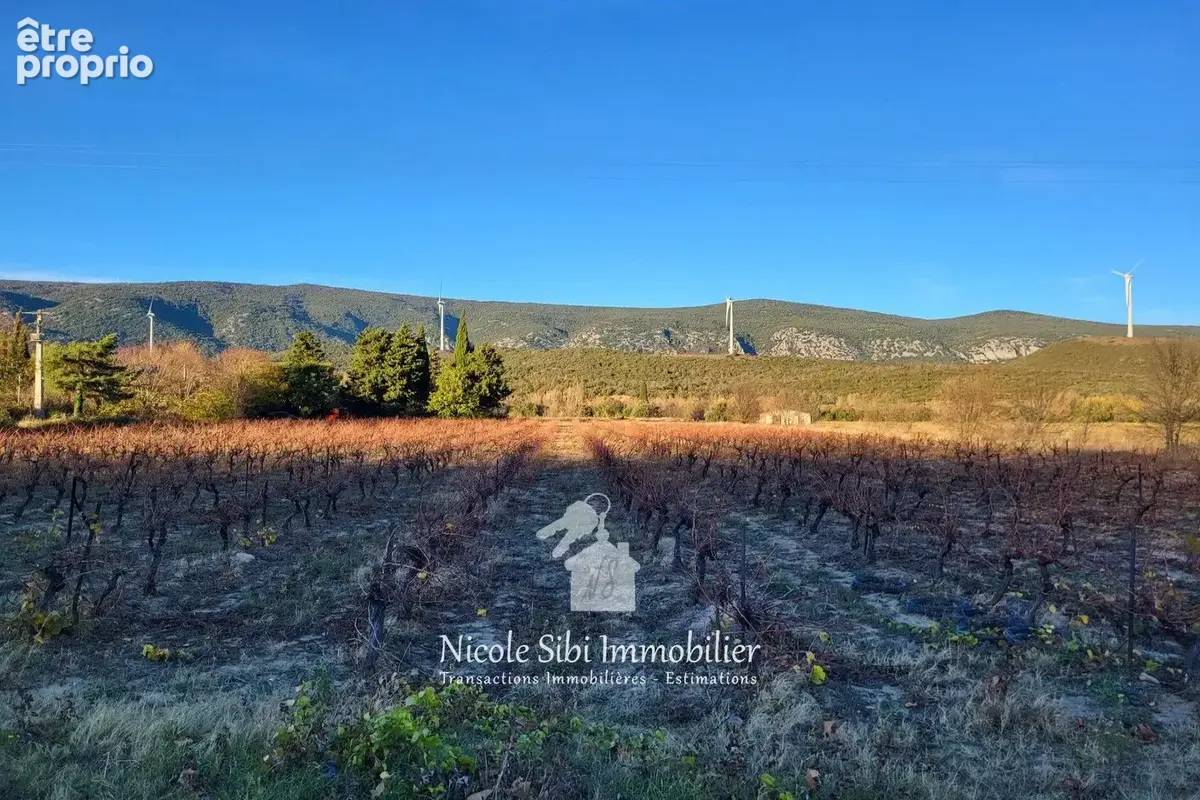 Photo Terrain à Caudies-De-Fenouilledes au prix de 28 500€
