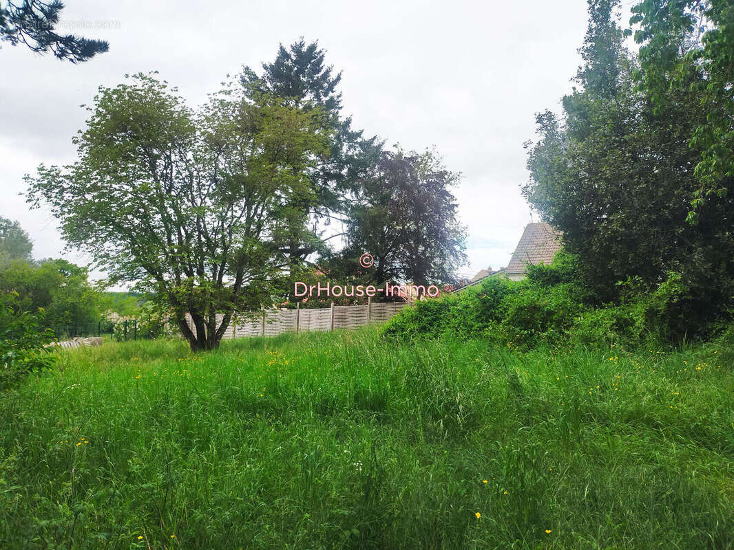 Terrain 3700 m² à Chevannes  - photo 5