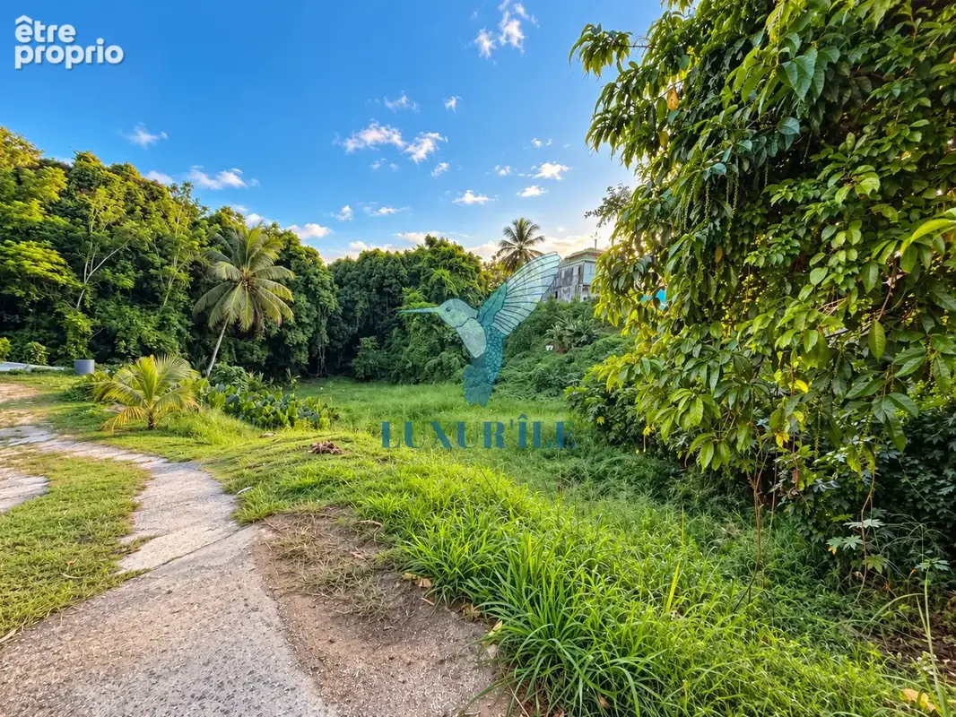 Photo Terrain à Le Gosier au prix de 163 500€