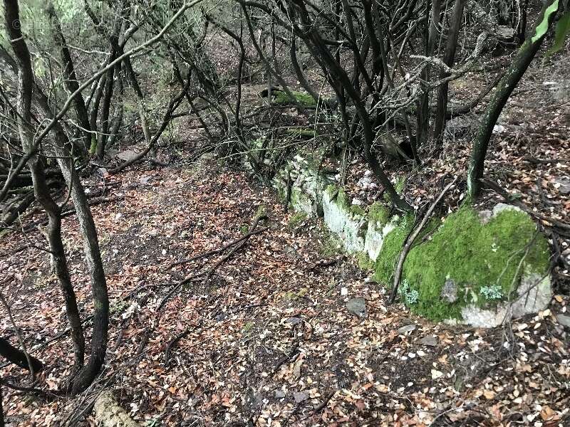 Terrain à BORMES-LES-MIMOSAS