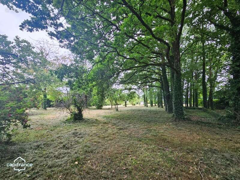 Terrain à POUZAUGES