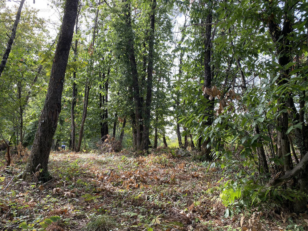 Terrain à CHANCELADE