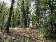 Terrain à CHANCELADE