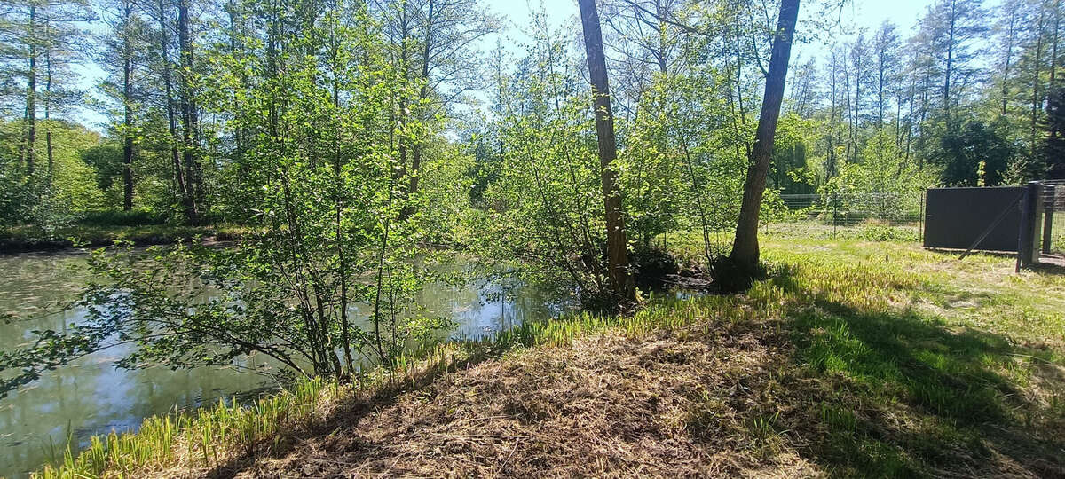 Terrain à LA FERTE-CHEVRESIS