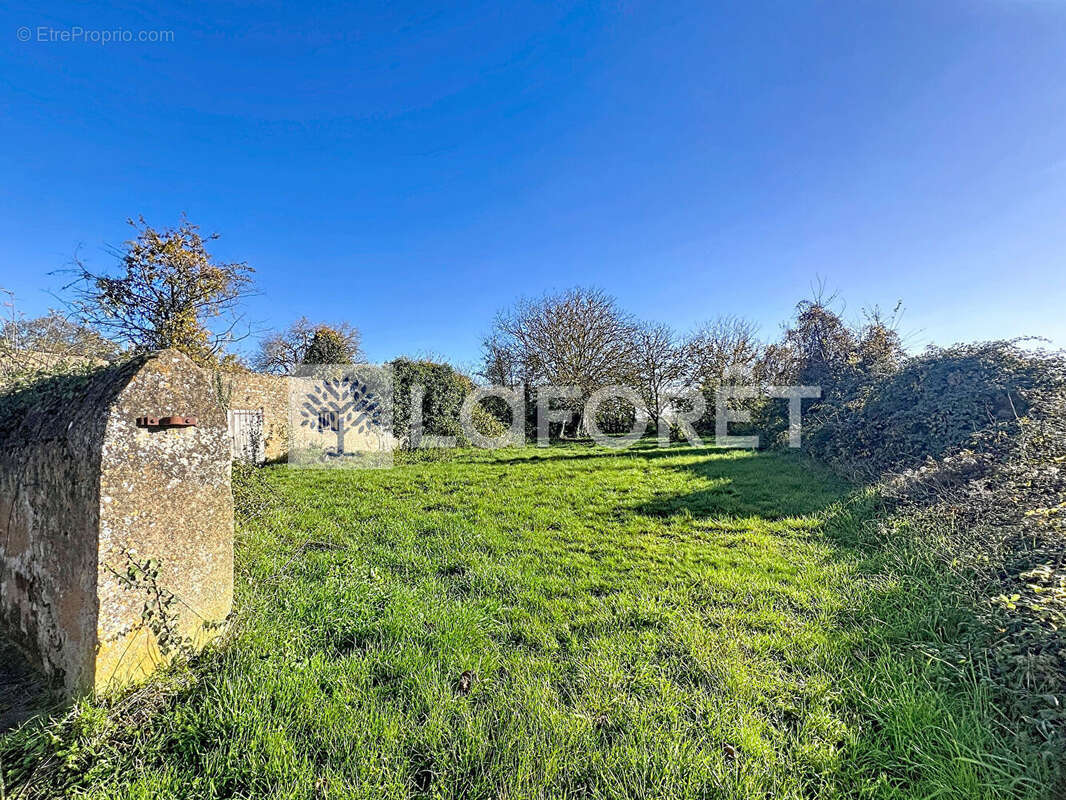 Maison à LA GRIMAUDIERE